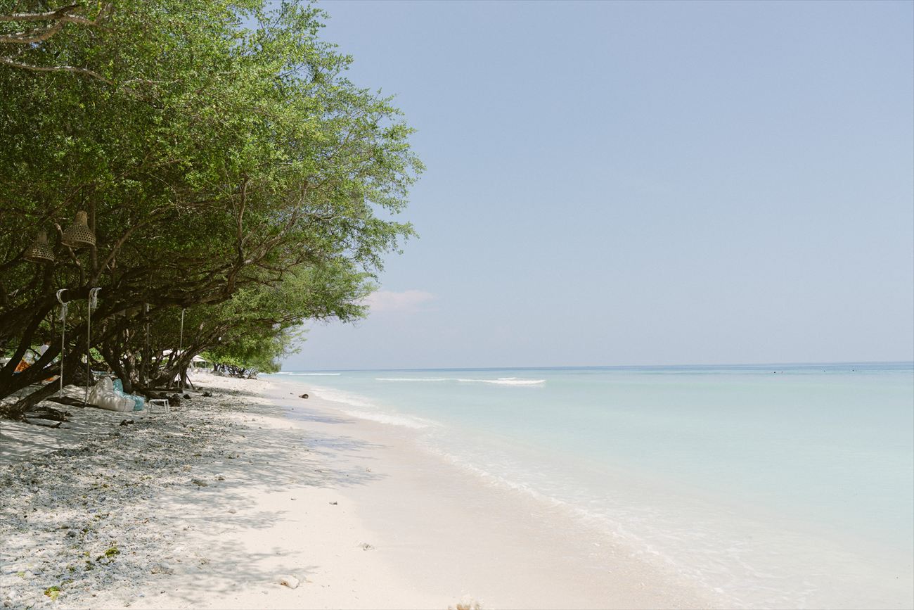 An empty beach and the treeline at the water's edge