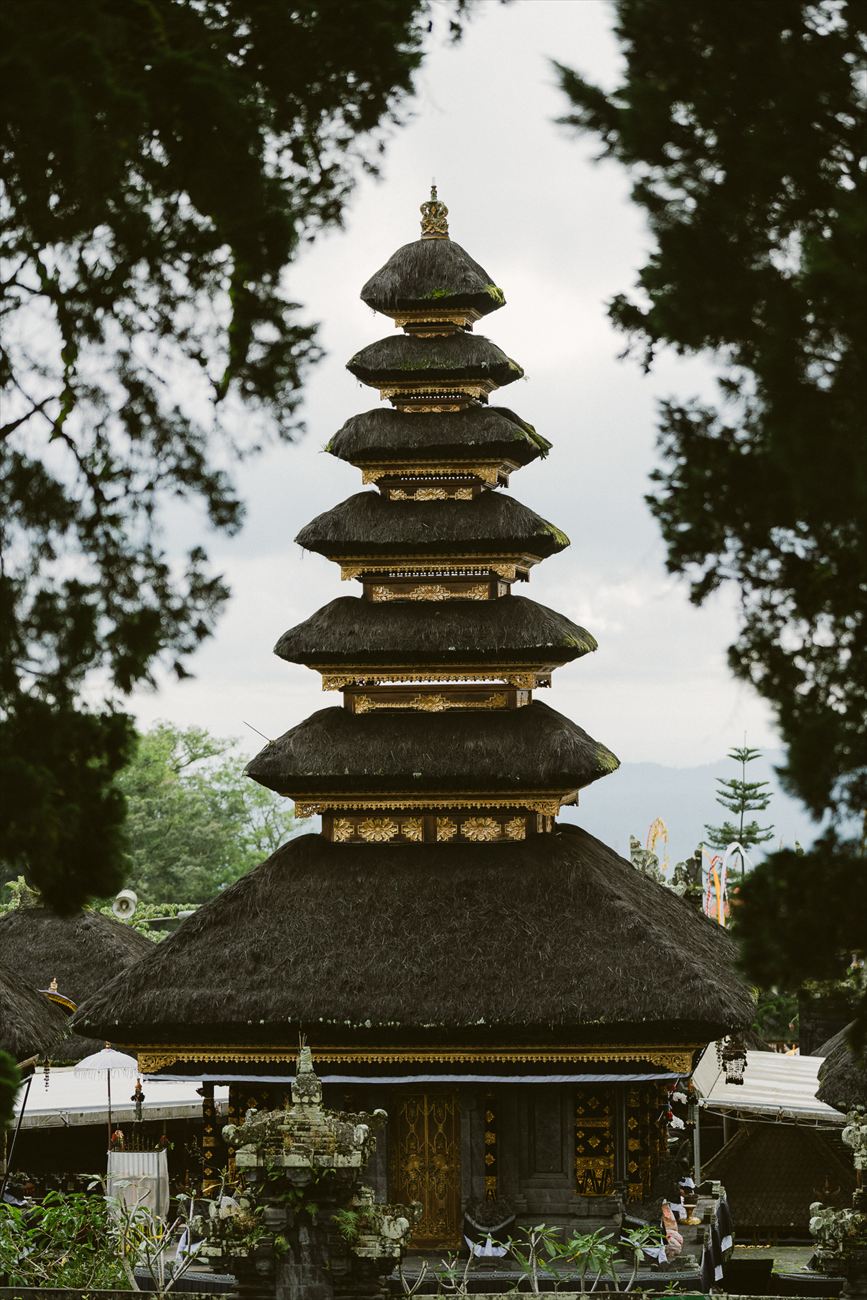 A tiered temple roof among the trees