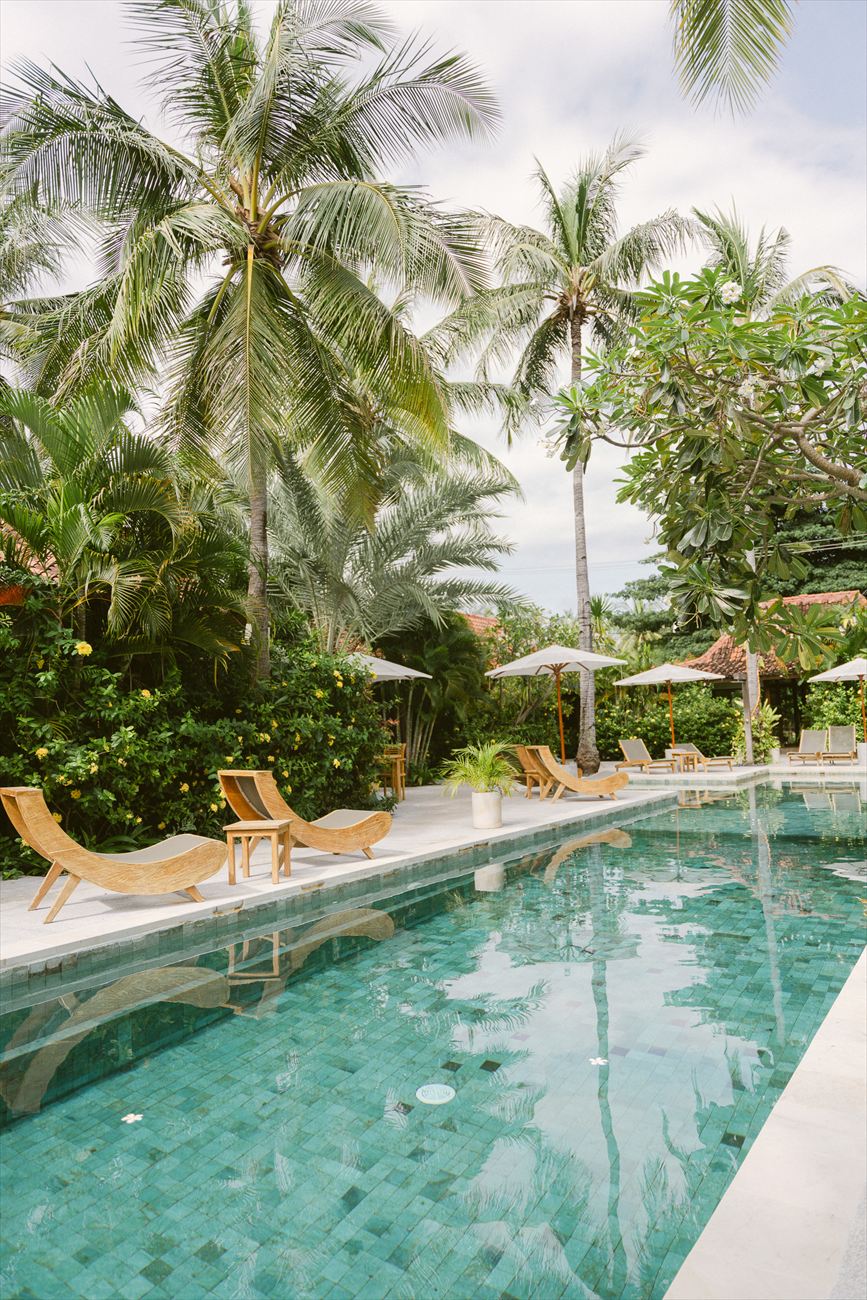 A long pool between palms, loungers along the far edge