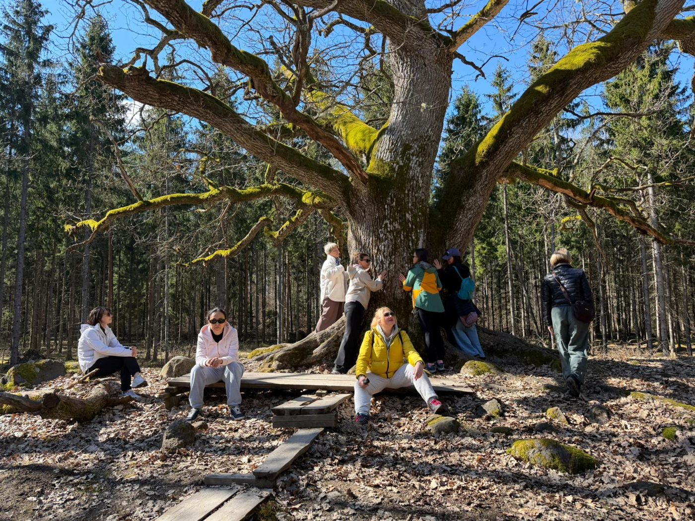 A group sitting scattered beneath the spreading branches of an enormous old oak