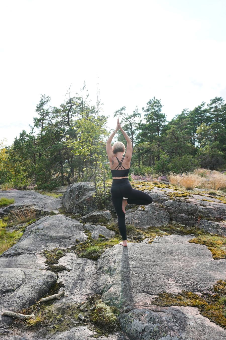 Tree pose on the rocks among the pines