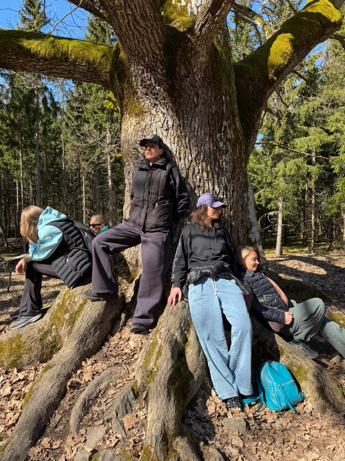 A group resting together against a great mossy oak in spring sunshine